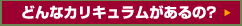 �ɤ�ʥ��ꥭ���ब�����?