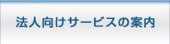 ˡ�͸��������ӥ��ΰ���